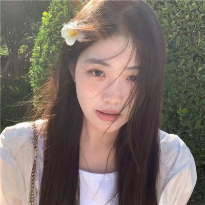 愤怒的蝴蝶